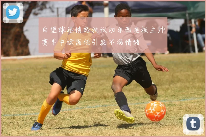 白堡球迷愤怒抗议切尔西老板主帅赛季中途离任引发不满情绪