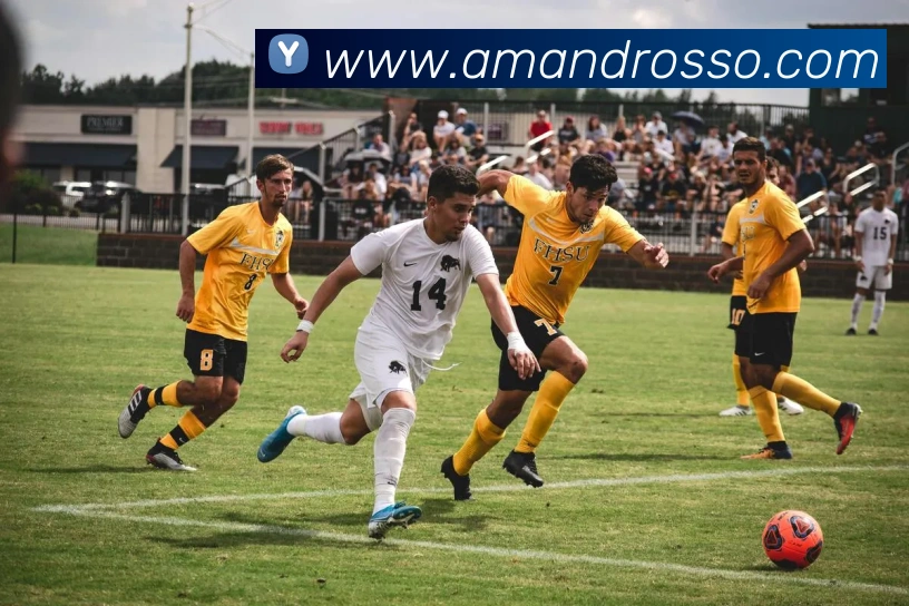 mksports在线登录平台生态图